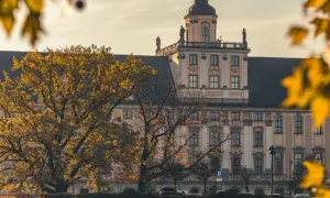 Jesienne drzewa na tle zabytkowego budynku uniwersyteckiego we Wrocławiu.