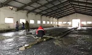 Pracownicy wylewają beton na zbrojenie. Jaki beton na wylewkę będzie najlepszy do tego zadania?