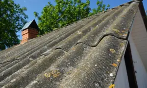 Pokryty mchem i porostami dach z eternitu, z ceglanym kominem i zielonymi drzewami w tle.