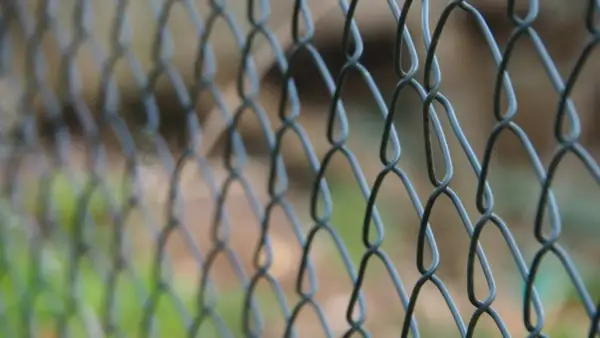 Siatka ogrodzeniowa tworzy wzór rombów. Zobacz, jak łatwo zbudować ogrodzenie z siatki krok po kroku.